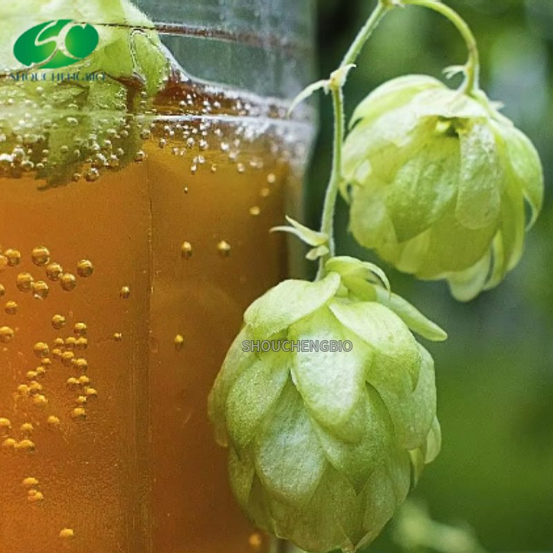 Natural Pure Hops Extract Hops Flower Extract