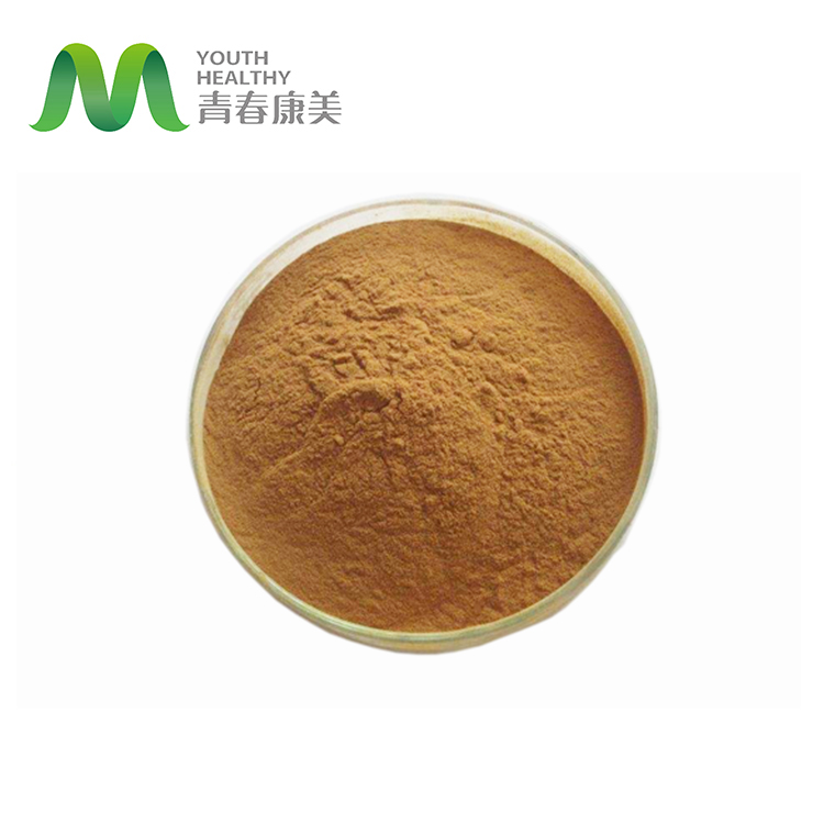 Forskolin Coleus Forskohlii Root Extract Powder Food Grade Herbal Extract HPLC Tested Drum Packaging