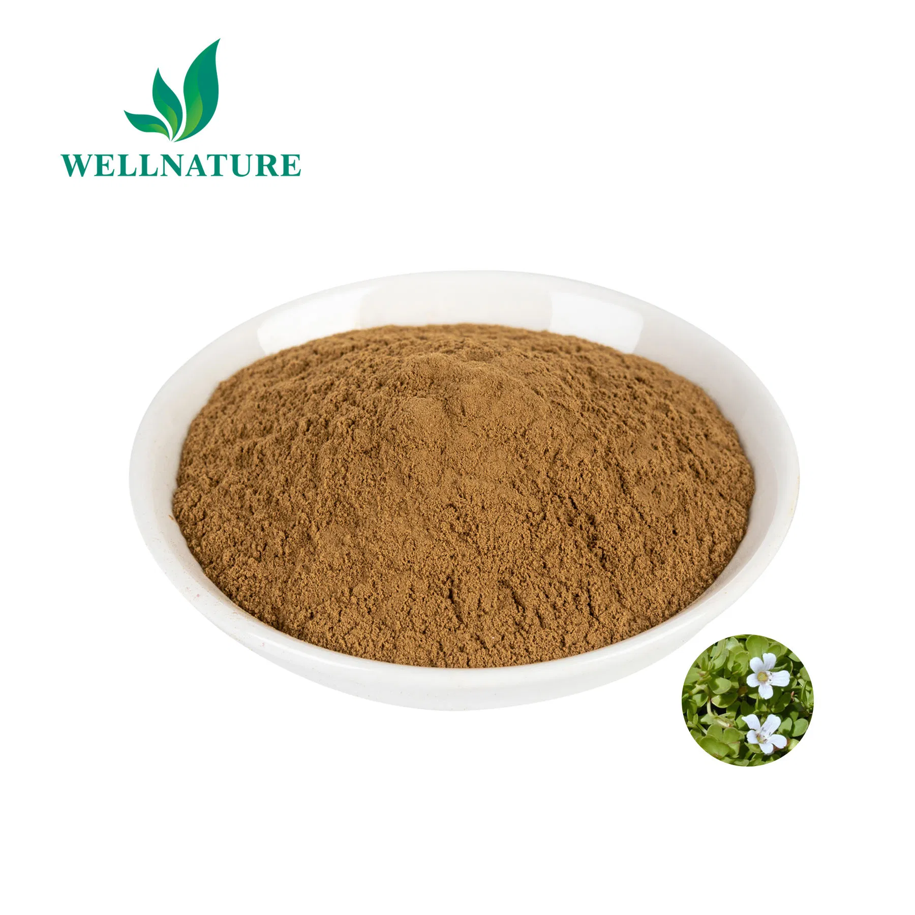 Standardized Bacopa Monnieri Extract 20% Bacosides for Memory Enhancement and Cognitive Support