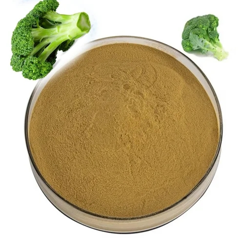 Broccoli Extract Powder Natural Sulforaphane Source Food &amp; Nutraceutical Grade