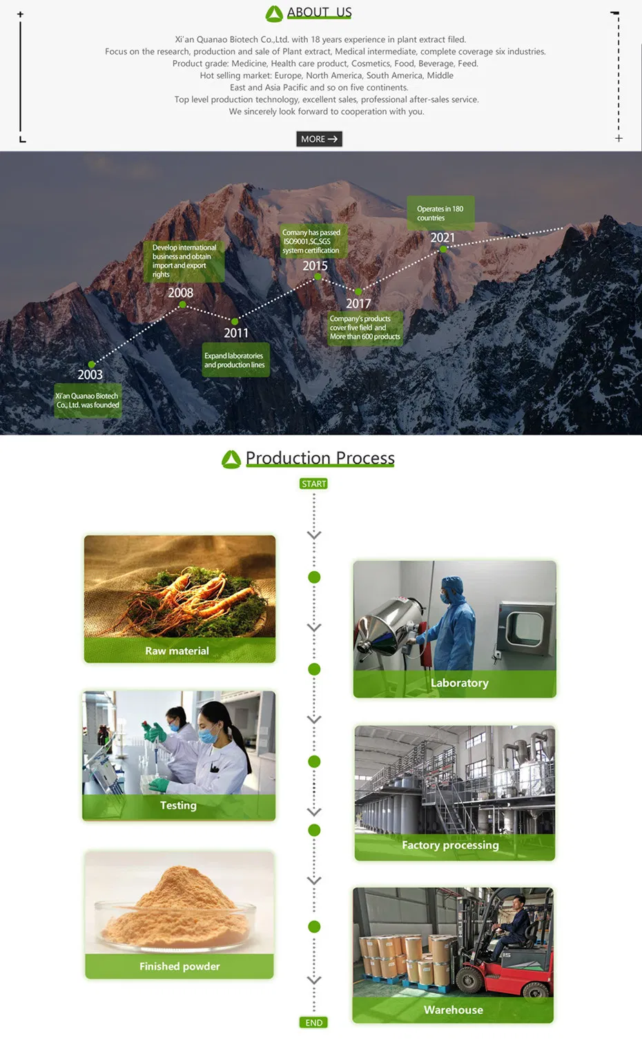 Company Profile Details