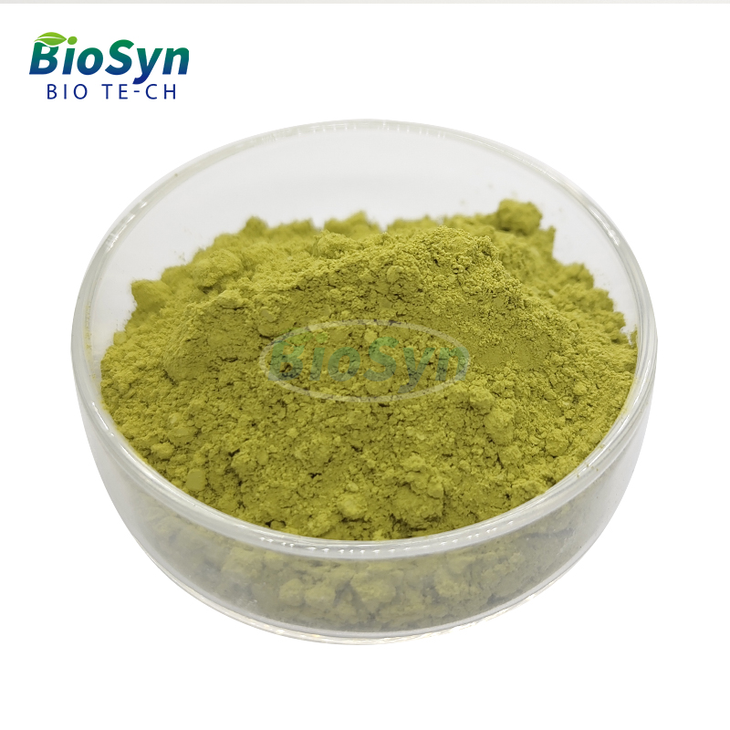 BioSyn Wholesale Price Broccoli Seed Extract Natural Pure Organic Fresh Broccoli Powder for Sale