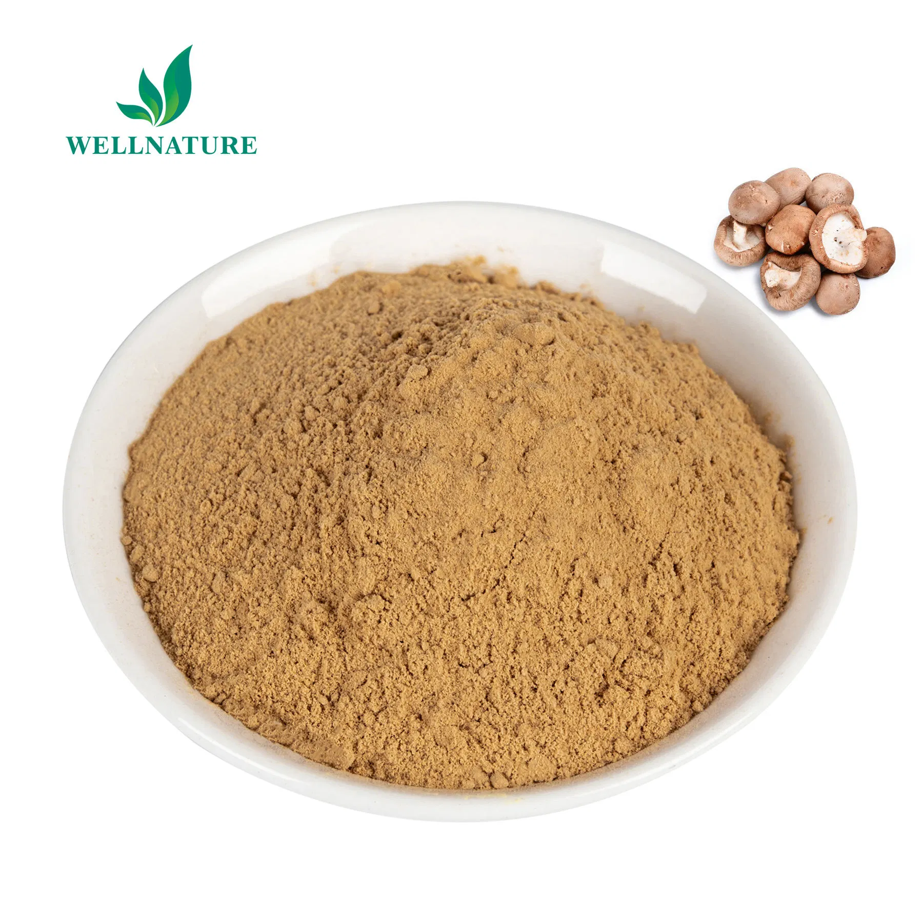 Organic Shiitake Extract 30% Beta Glucans for Premium Nutraceuticals and Research (Lentinan, COA)