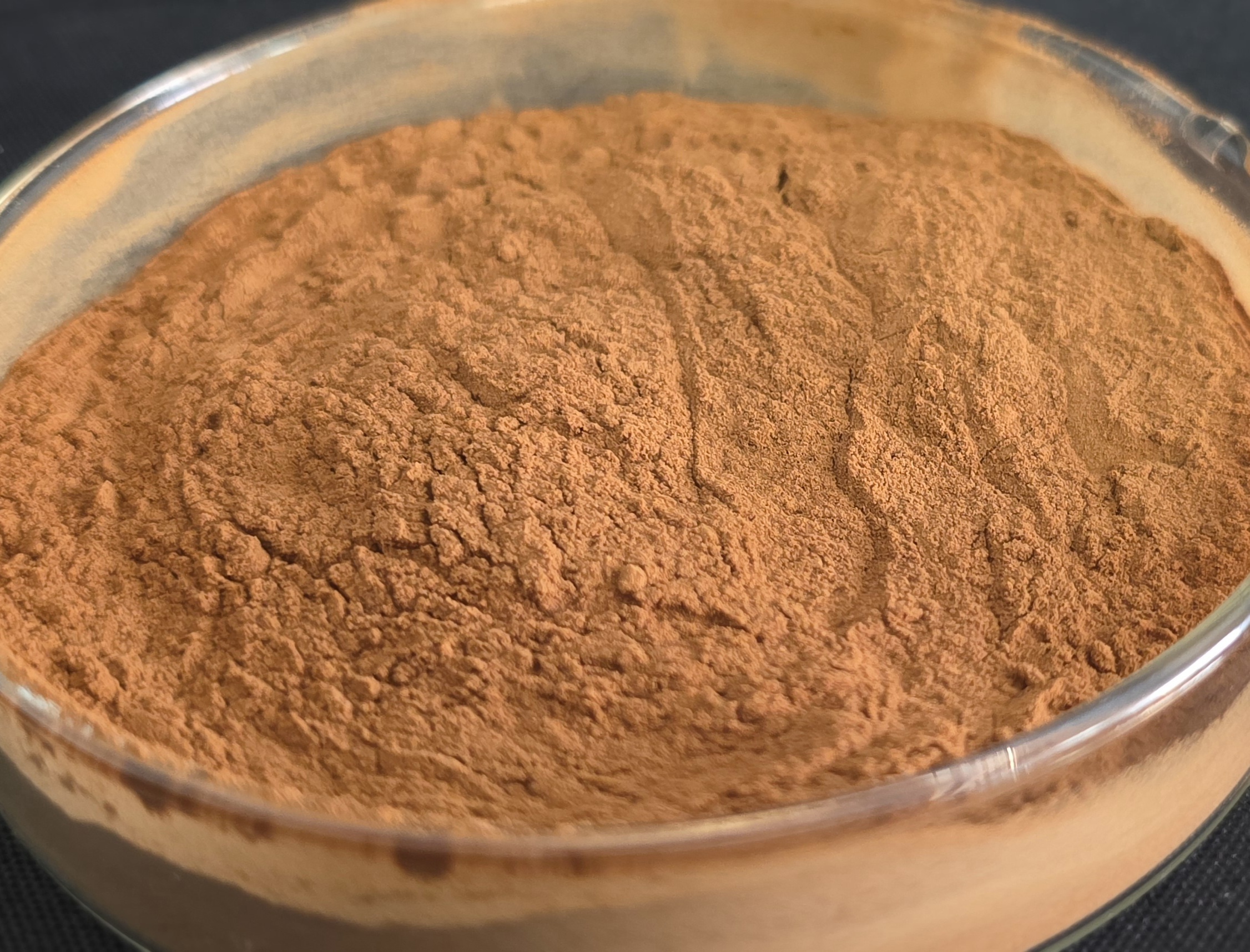 Organic Natural Plant Extracts Caffeine Free Salvia Miltiorrhiza Extract 5% Salvia Root Powder Antioxidant Adult Customisable