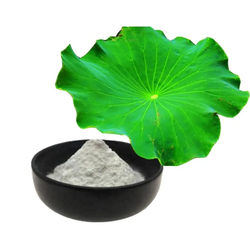 High Quality Pure Natural Lotus Leaf Extract Powder 98% Nuciferine Powder