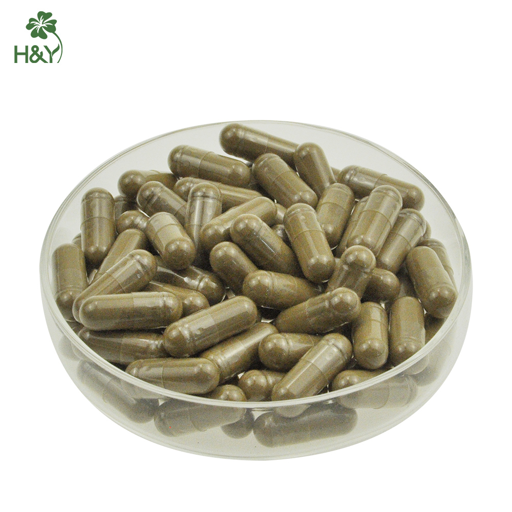 Lions Mane Capsules Lion's Mane Mushroom Extract Lions Mane Extract Powder 665mg in Stock