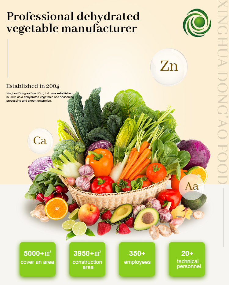 Onion Powder Product Exhibition
