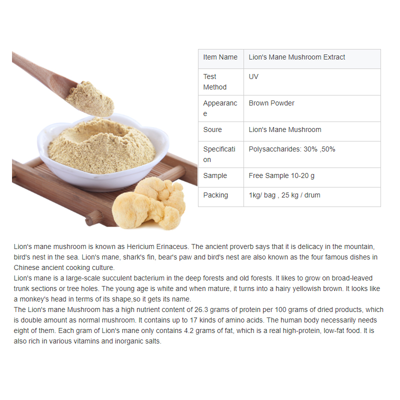 Lion Mane Mushroom Extract Hericium Erinaceus Mushroom Powder Lions Mane Mushroom Powder