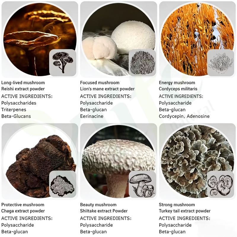 KLIFE Organic Hericium Erinaceus Extract | Water Soluble Organic Lions Mane Extract Powder | Brain &amp; Nerve Health