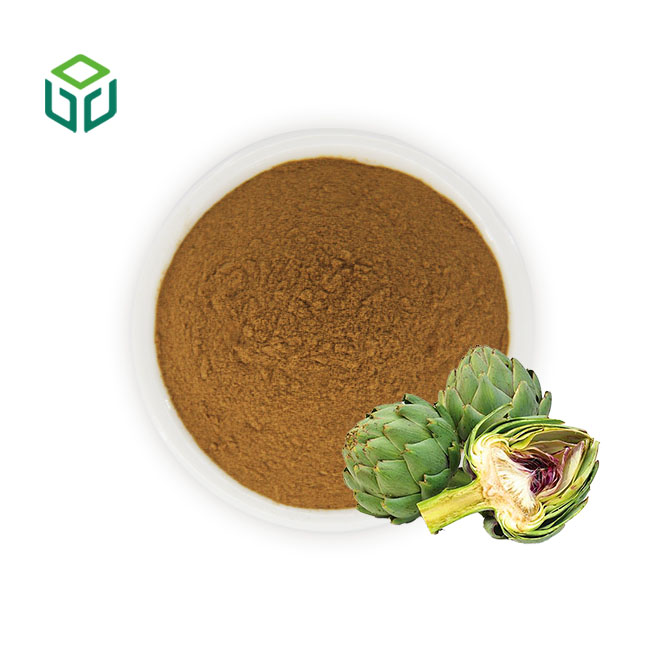 High Grade Organic Certified Artichoke Leaf Extract Powder Cynarin 2.5 Percent UV Tested Natural Herbal Supplement for Bottle