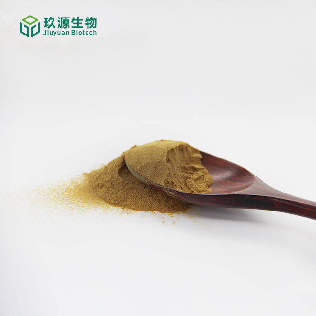 Ginkgo biloba Extract