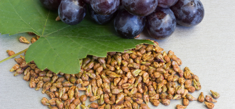 Grape Seed Extract