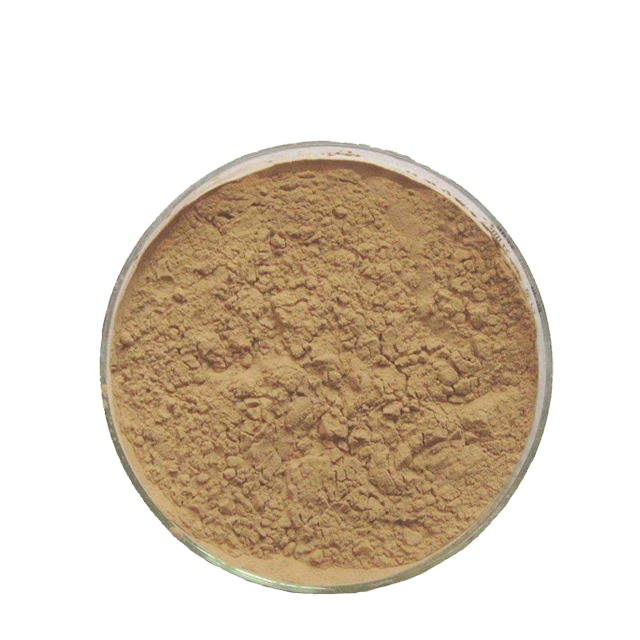 Herbal Mangosteen Fruit Extract Powder 10:1 &amp; 20:1 Wild-Sourced Food Grade Water Soluble Antioxidant Aids Digestion