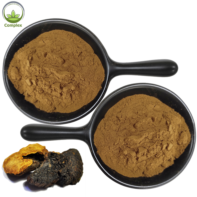Factory sales phellinus linteus mushroom extract phellinus igniarius extract
