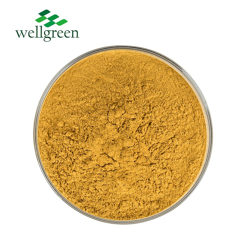 Natural Standardized Berberine HCl Powder for Feed Additive with GMP Certificate, Coptis Chinensis Extract