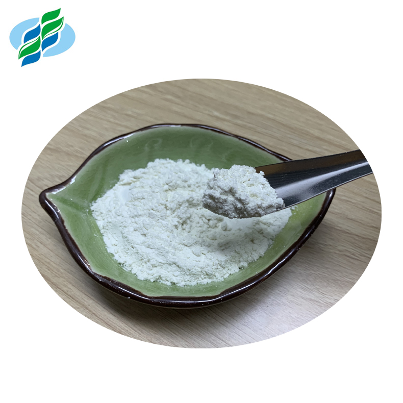 High Purity Nuciferine Lotus Leaf Extract for Weight Loss Nuciferine 98%