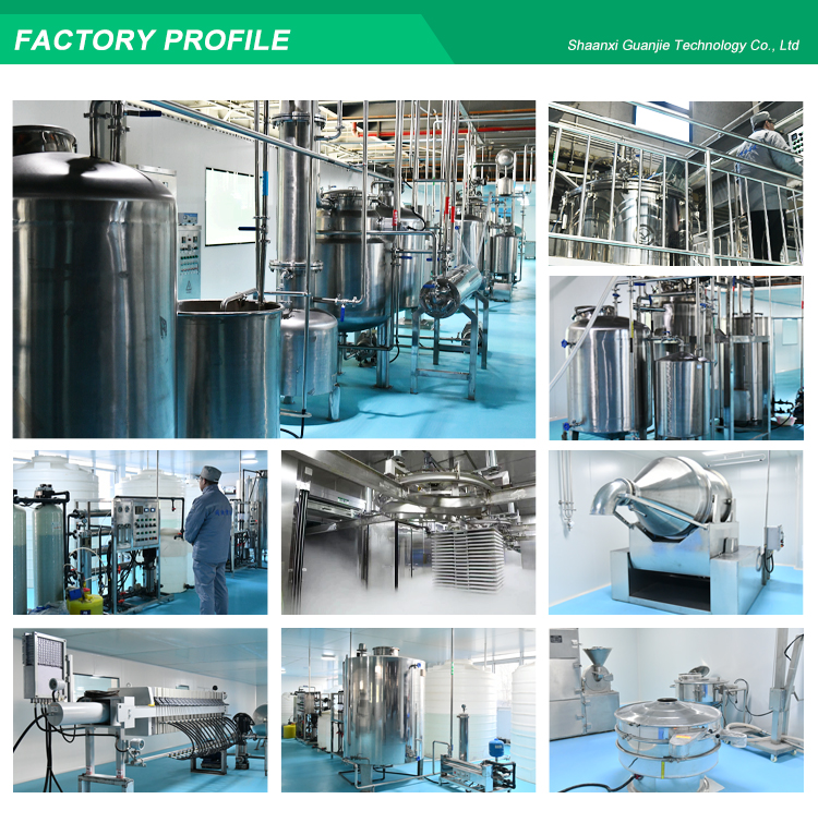 High Purity Freeze Dried Strawberry Powder Factory Supply OEM/ODM Customizable Fruit Powder for Food Industry
