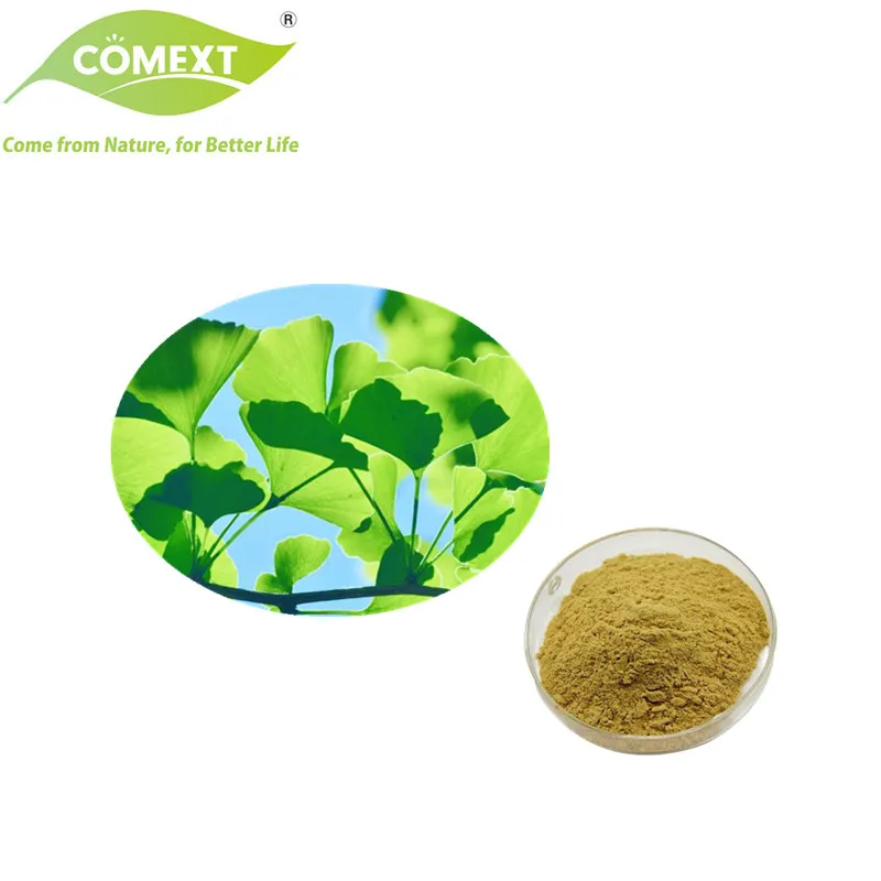 Nutraceutical Plant Herbal Extract Powder Ginkgo Biloba Leaf Extract