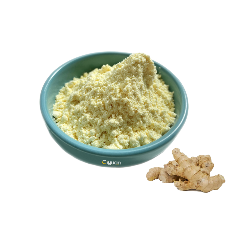 Herbal Supplement Ciyuan Factory Wholesale Price Organic Water Soluble Ginger Zingiber Officinale Root Extract Powder