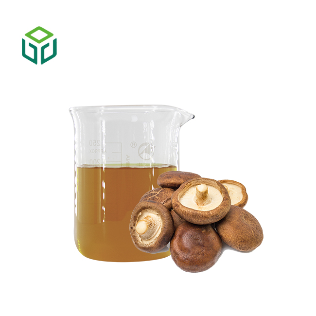Shiitake Mushroom Extract Powder Food Grade with Polysaccharides Available in Bottle/Drum Packaging