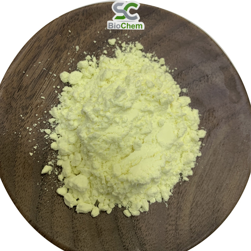 Wholesale High Quality 95% 98% Rutin NF11 Troxerutin Sophora Japonica Flower Extract