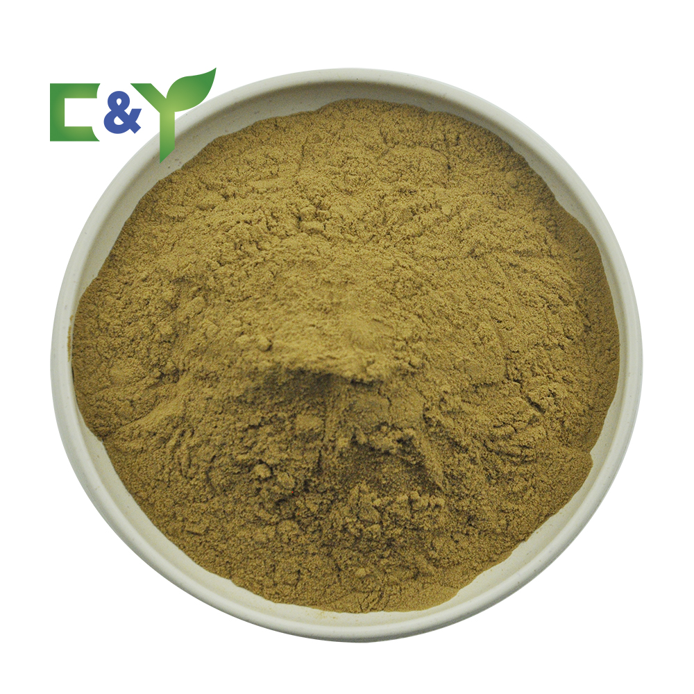 New Arrivals Senna Leaves Senna Leaf Extract Senna Leaf