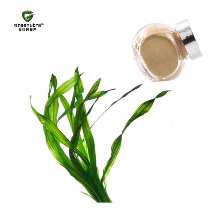 Cosmetic Grade Seaweed Extract Powder 10:1 Natural Marine Plant Concentrate for Skin Care and Personal Care Use
