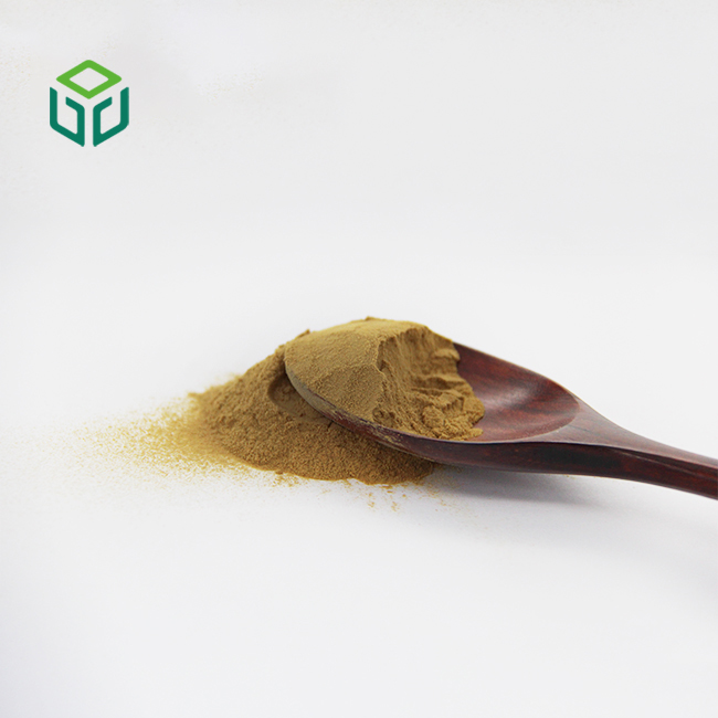Organic Ginkgo Biloba Leaf Extract Powder Food Grade Herbal Supplement Flavonoids Terpene Lactones Solvent Extraction Drum