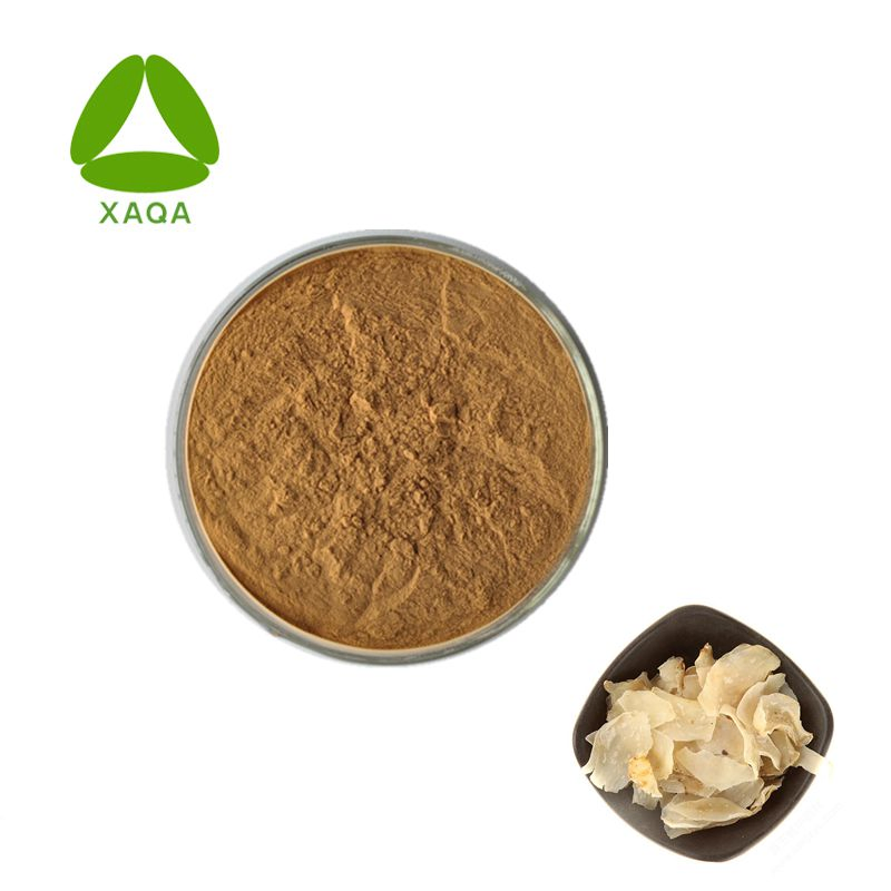 100% Natural Herbal Lily Bulb Extract Powder