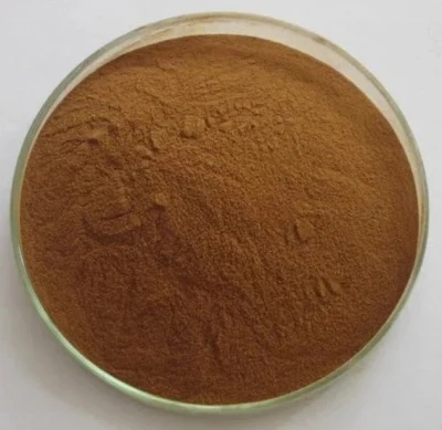 Plant Extract Water Soluble Mint Flavor Powder Natural Spearmint Extract