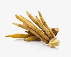 Natural Finger Root Extract Powder for Healthcare Products and Food Supplements