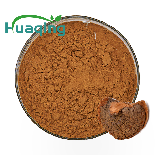 Damiana Leaf Extract