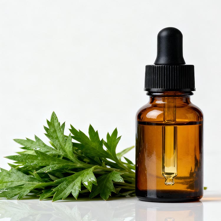 Seaweed Herbal Extract Oil Polyphenols | Natural Marine Plant Extract Cosmetic Grade Bottle Aromatherapy Cosmetics Personal Care