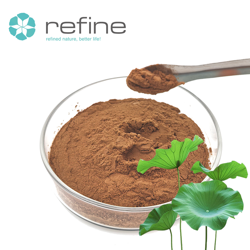 High Quality Lotus Leaf Extract Powder Nuciferine 2% 4% 98% Natural Lotus Leaf Extract for Weight Lose