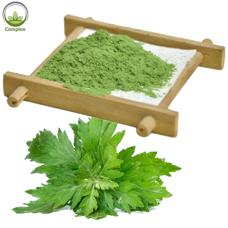 Supply High Quality Food Grade Natural Wormwood Leaf Extract Powder
