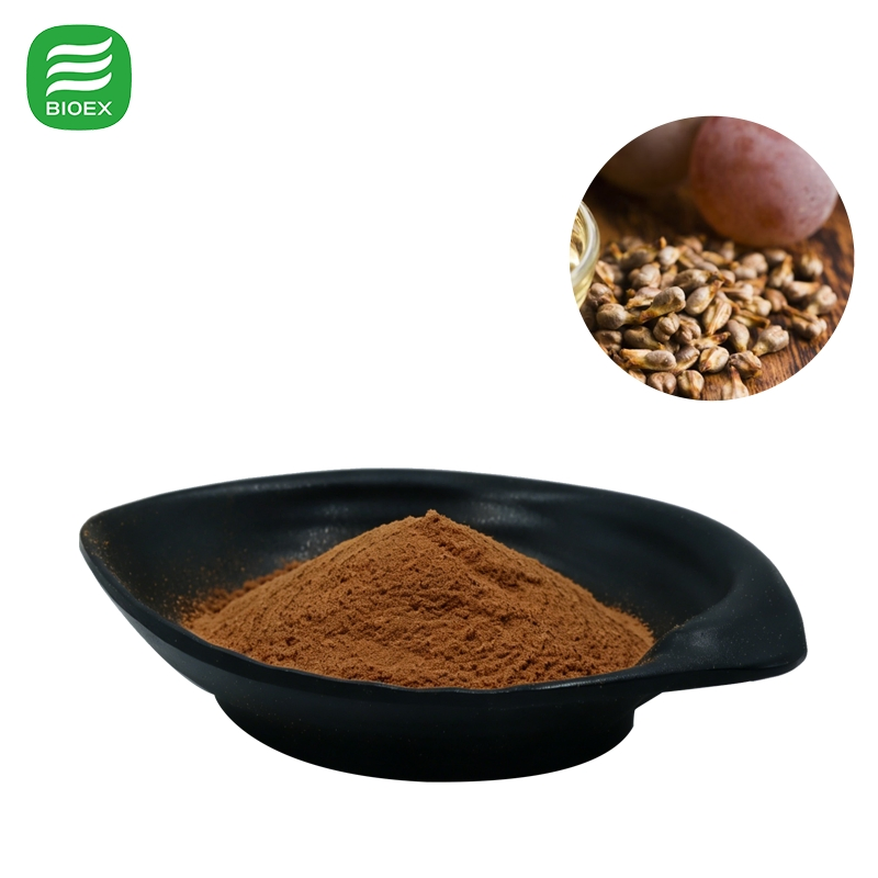 Pure Natural Plant Extracts OPC 95% Proanthocyanidins Grape Seed Extract