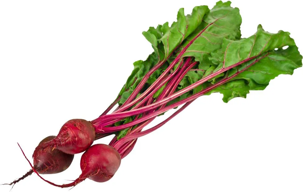 Beet Root Extract Product View