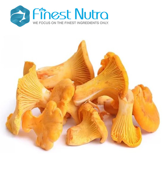 Mycelium Chanterelle Mushroom Extract 10% Polysaccharides Cantharellus Cibarius Extract Powder