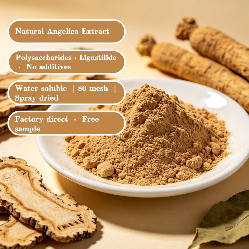 High Quality Angelica Sinensis Root Extract Standardized Ligustilide Ferulic Acid for Nutraceuticals