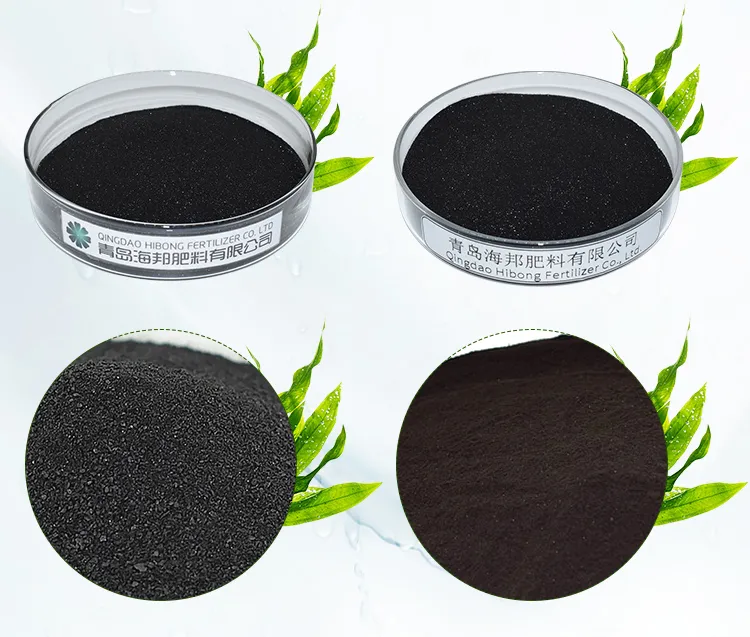 Organic Natural Seaweed Extract for Enhanced Plant Growth and Health