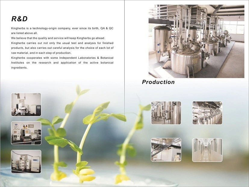 High Standard 98% Resveratrol Polygonum Cuspidatum Extract