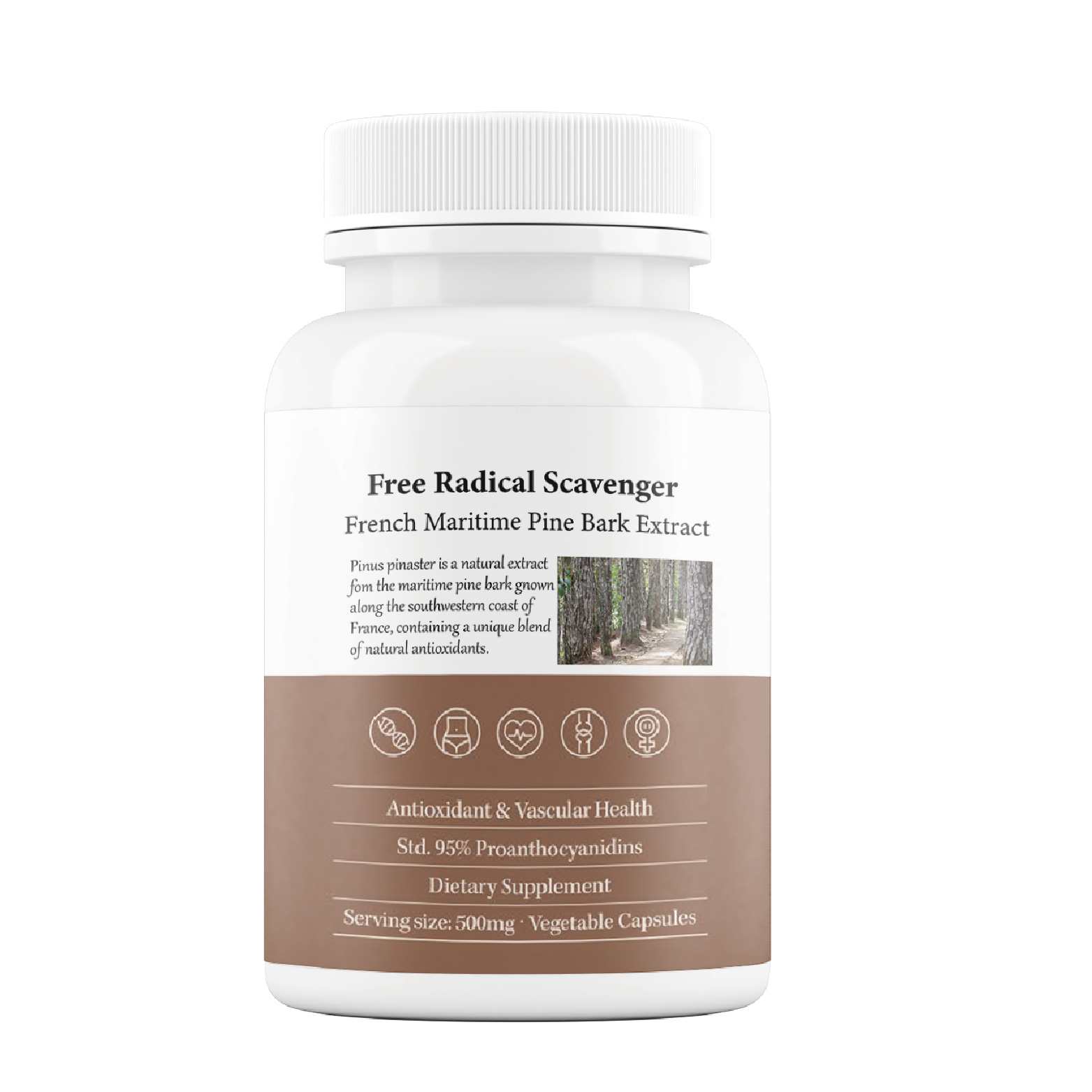 Private Label Natural Antioxidant Support Premium 95% Proanthocyanidins 500mg Pure French Maritime Pine Bark Extract Capsules