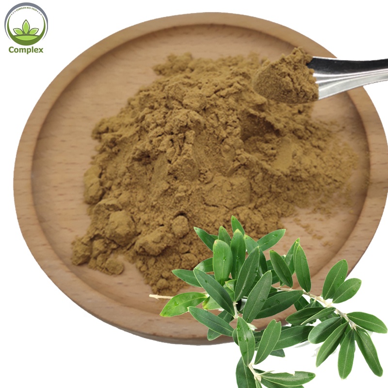 Supply Pure Organic Dried Fine Olive Leaf Extract Powder
