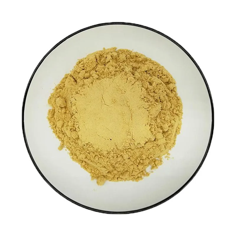 Wholesale Price Ginger Extract 10: 1 Food Grade Ginger Extract Powder