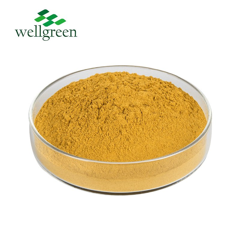 Natural Standardized Berberine HCl Powder for Feed Additive with GMP Certificate, Coptis Chinensis Extract
