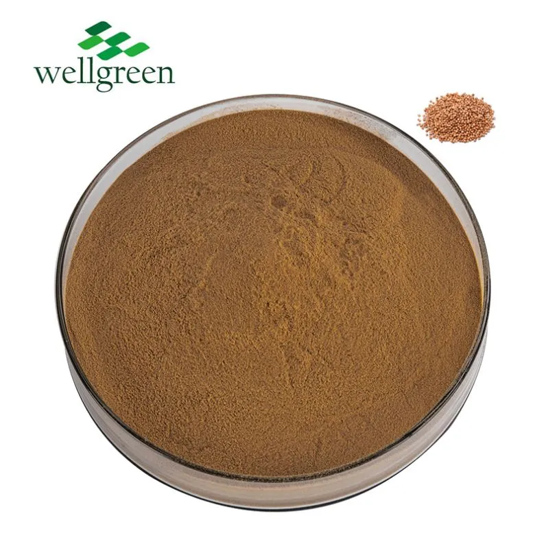 Herbal Extract Health Food White Mustard Seed Extract Powder