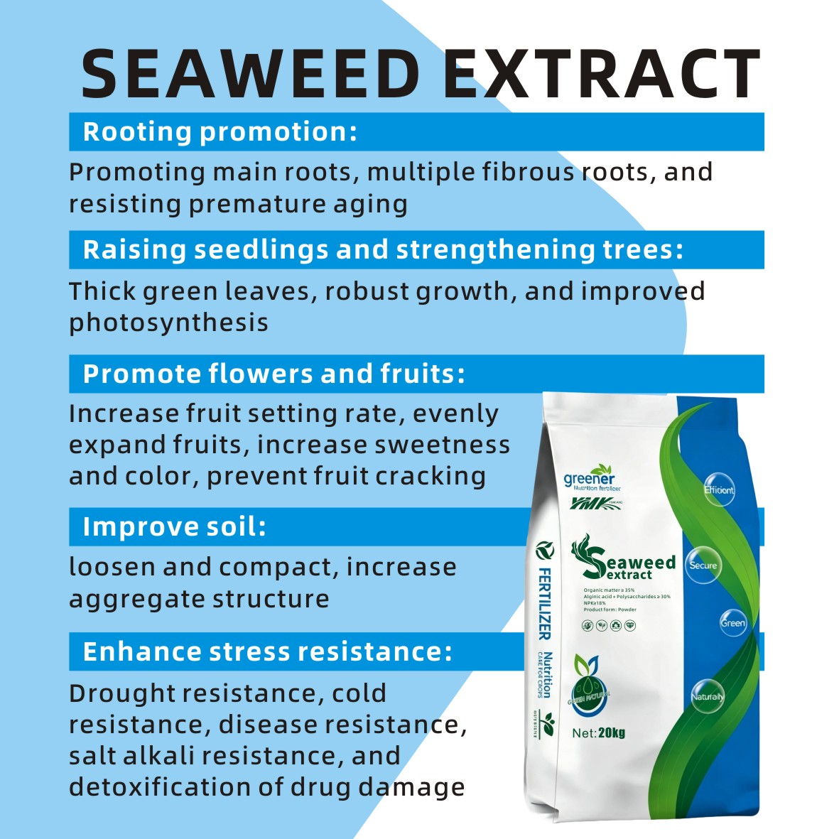 Marine Plant Extract Enzymatic Hydrolysis Seaweed Extract Powder and Granulated Fertilizer Scoop Eco Friendly Increase Yield