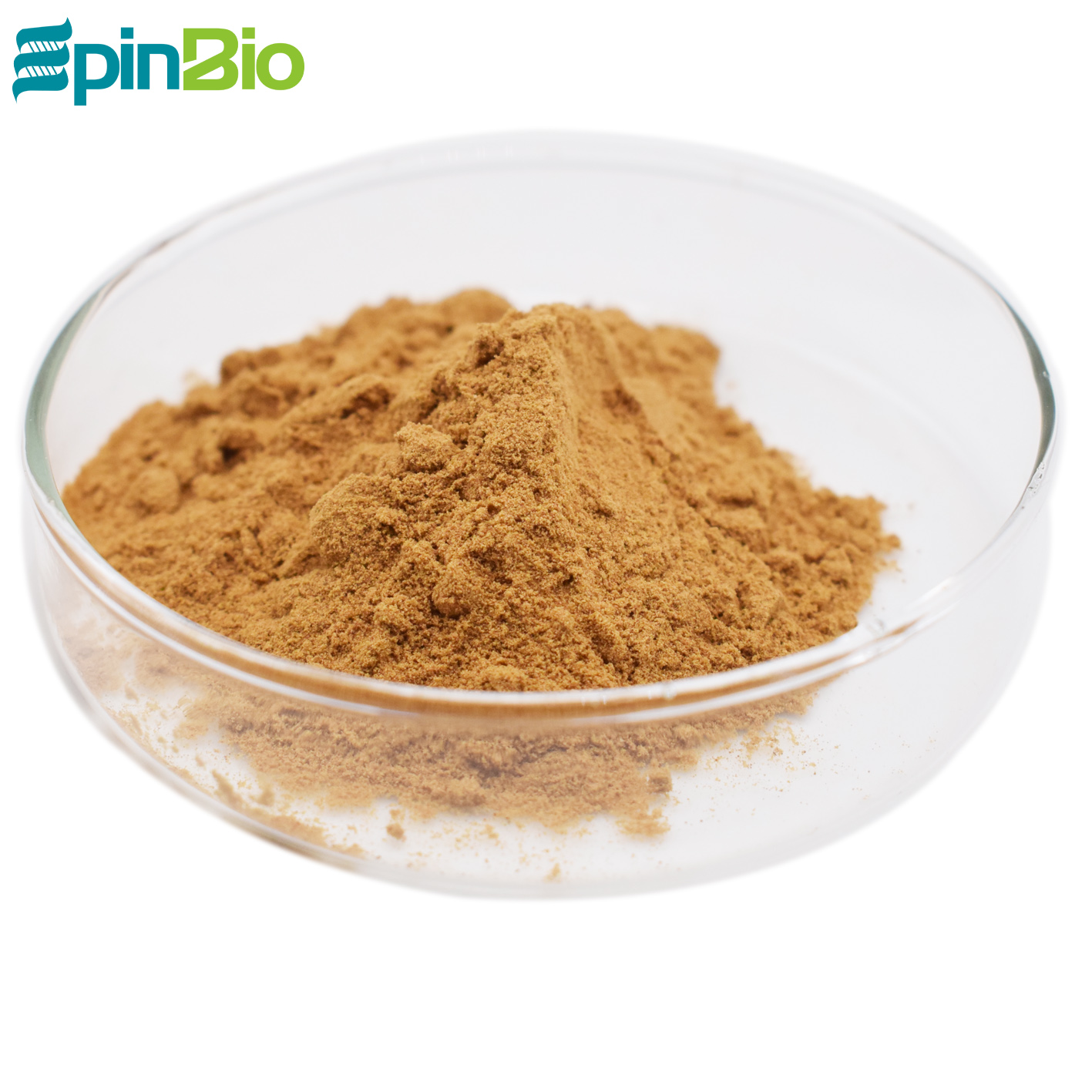 100% Pure Ashwagandha Root Extract 5% 10% Withanolides