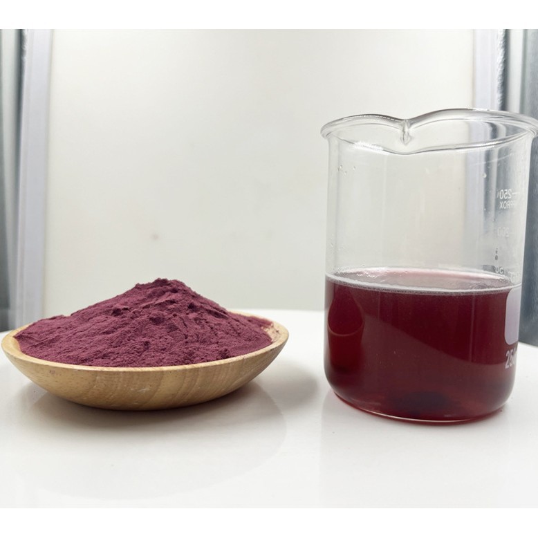 Food Grade Vegetable Powder Natural Anthocyanins Black Elderberry Fruit Extract Powder Elderberry Fruit Powder