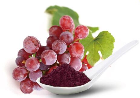 Natural Pure Supplement Grape Seed Extract OPC 95%
